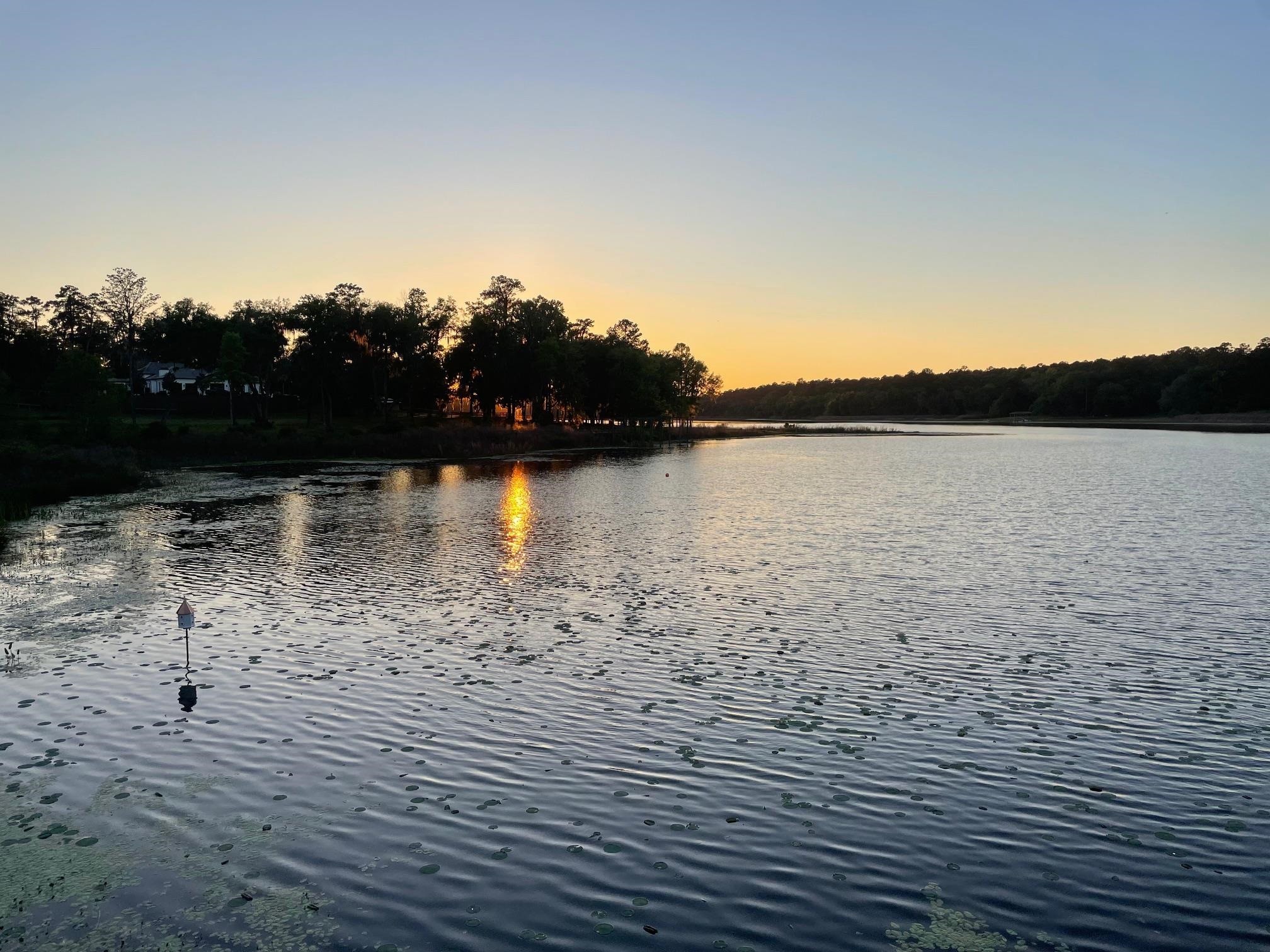 2192 Thirlestane Road Tallahassee, FL 32309 - Photo 4 of 26