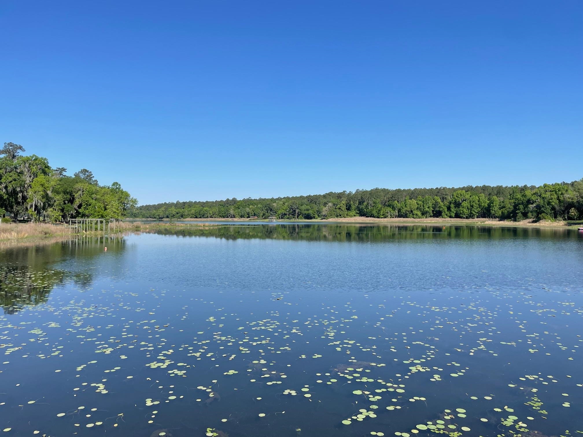 2192 Thirlestane Road Tallahassee, FL 32309 - Photo 8 of 26