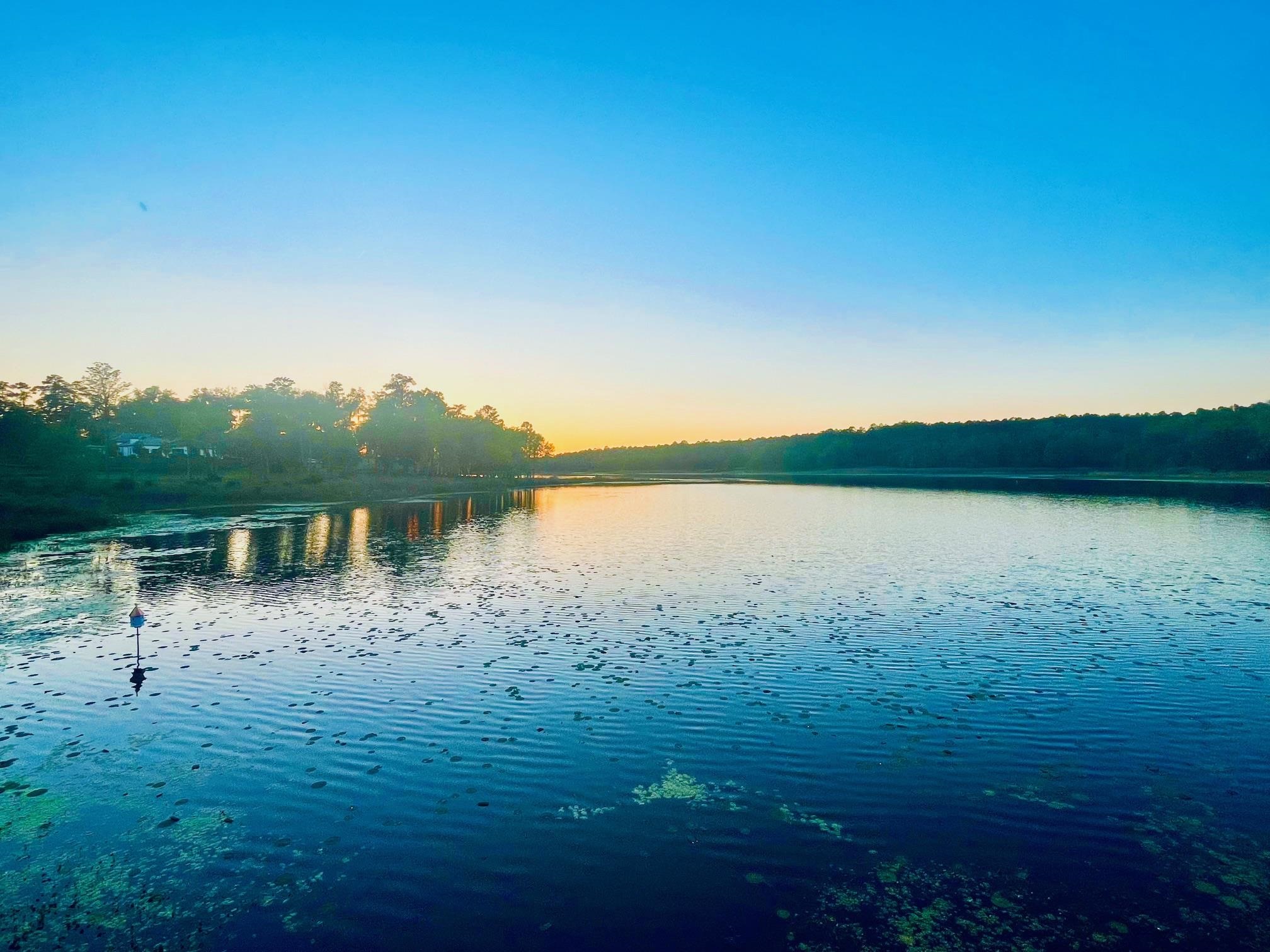 2192 Thirlestane Road Tallahassee, FL 32309 - Photo 9 of 26