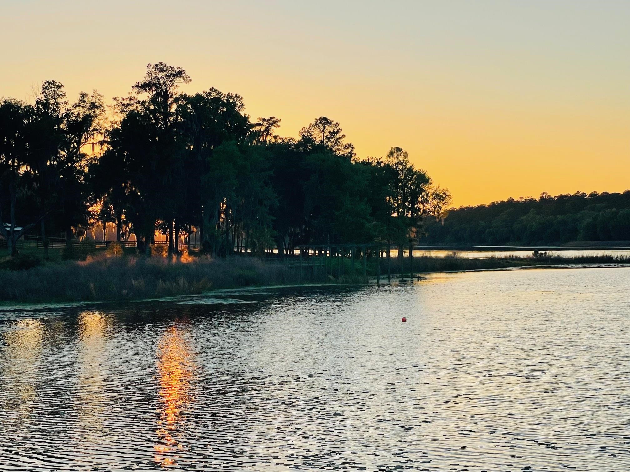 2192 Thirlestane Road Tallahassee, FL 32309 - Photo 10 of 26