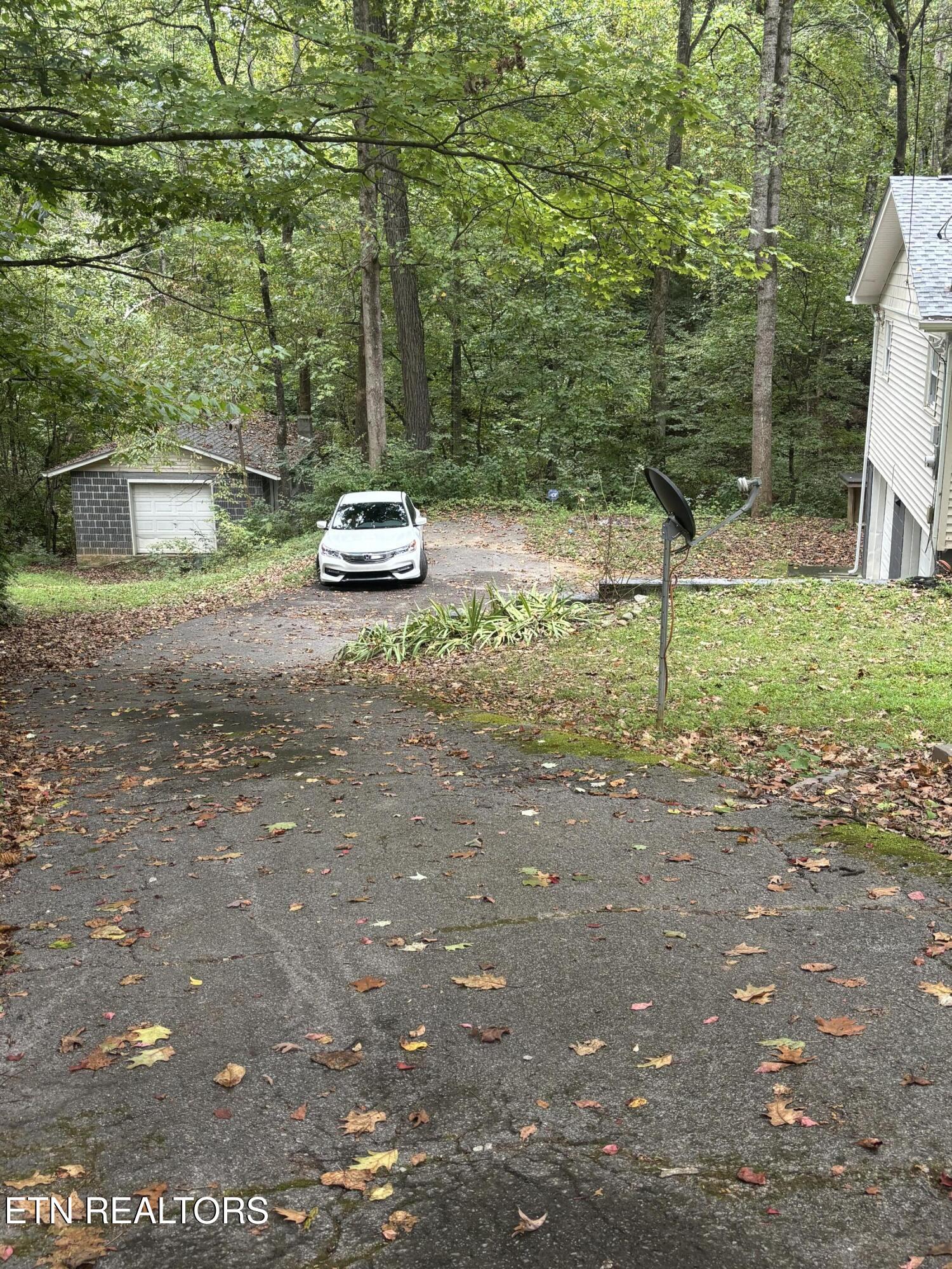 802 Hinkle Road Seymour, TN 37865 - Photo 17 of 60 IMG_6579
