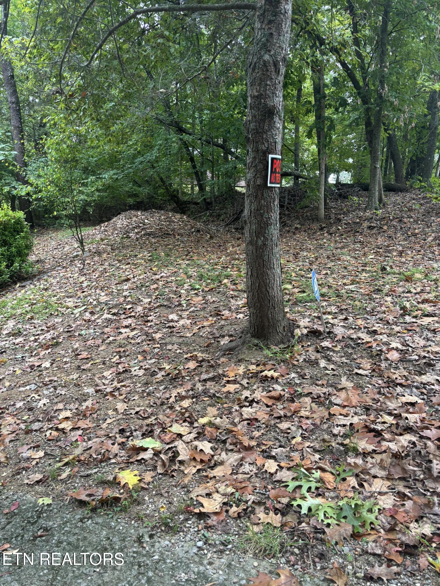 802 Hinkle Road Seymour, TN 37865 - Photo 18 of 60 IMG_6572