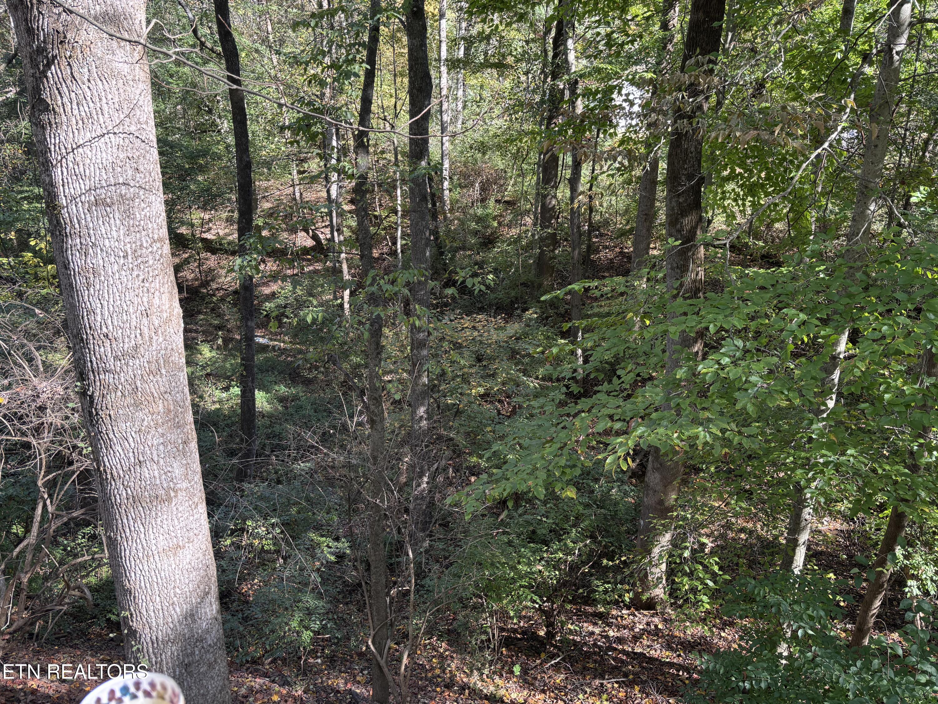 802 Hinkle Road Seymour, TN 37865 - Photo 19 of 60 IMG_4027