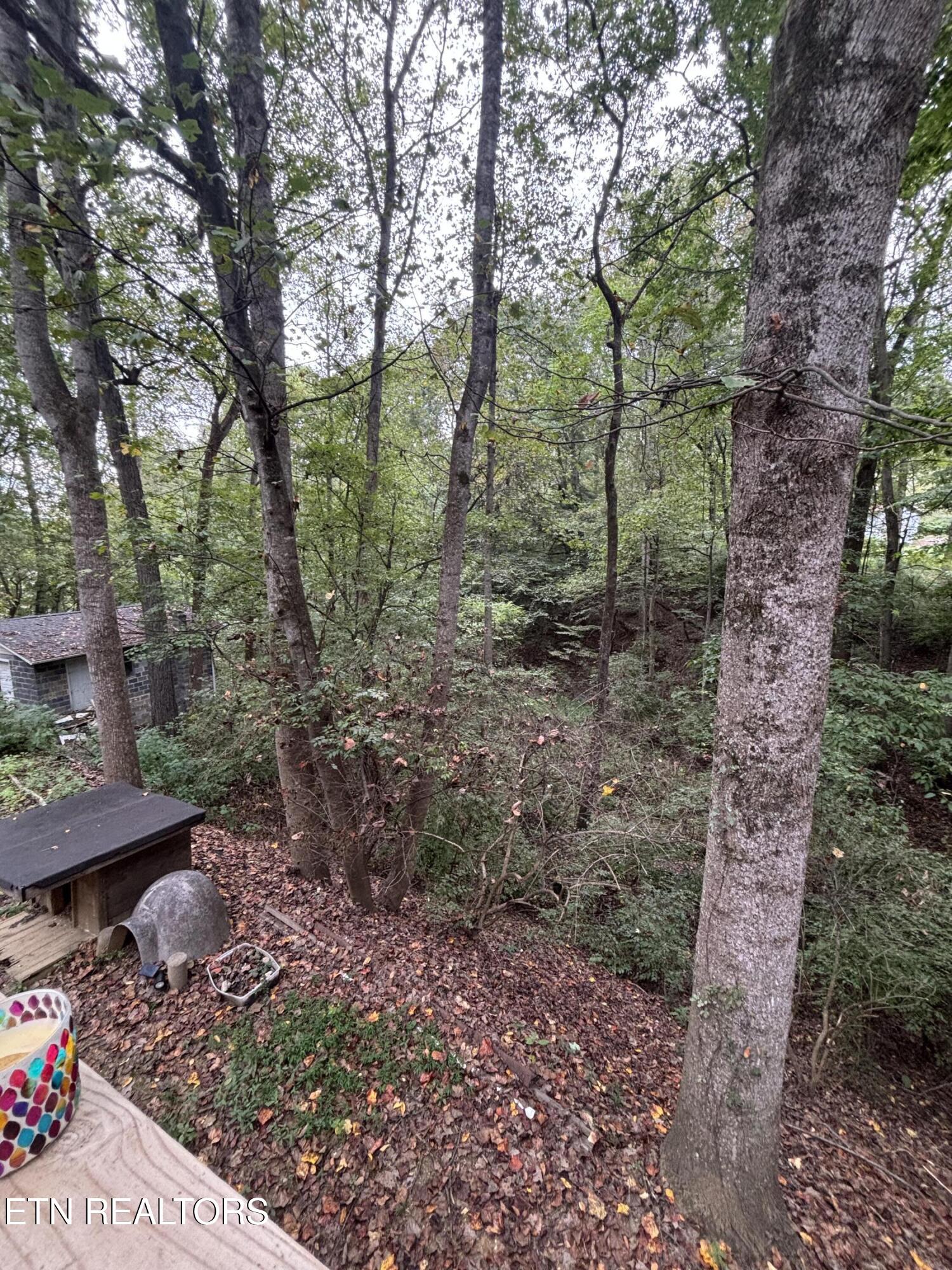 802 Hinkle Road Seymour, TN 37865 - Photo 54 of 60 IMG_6548