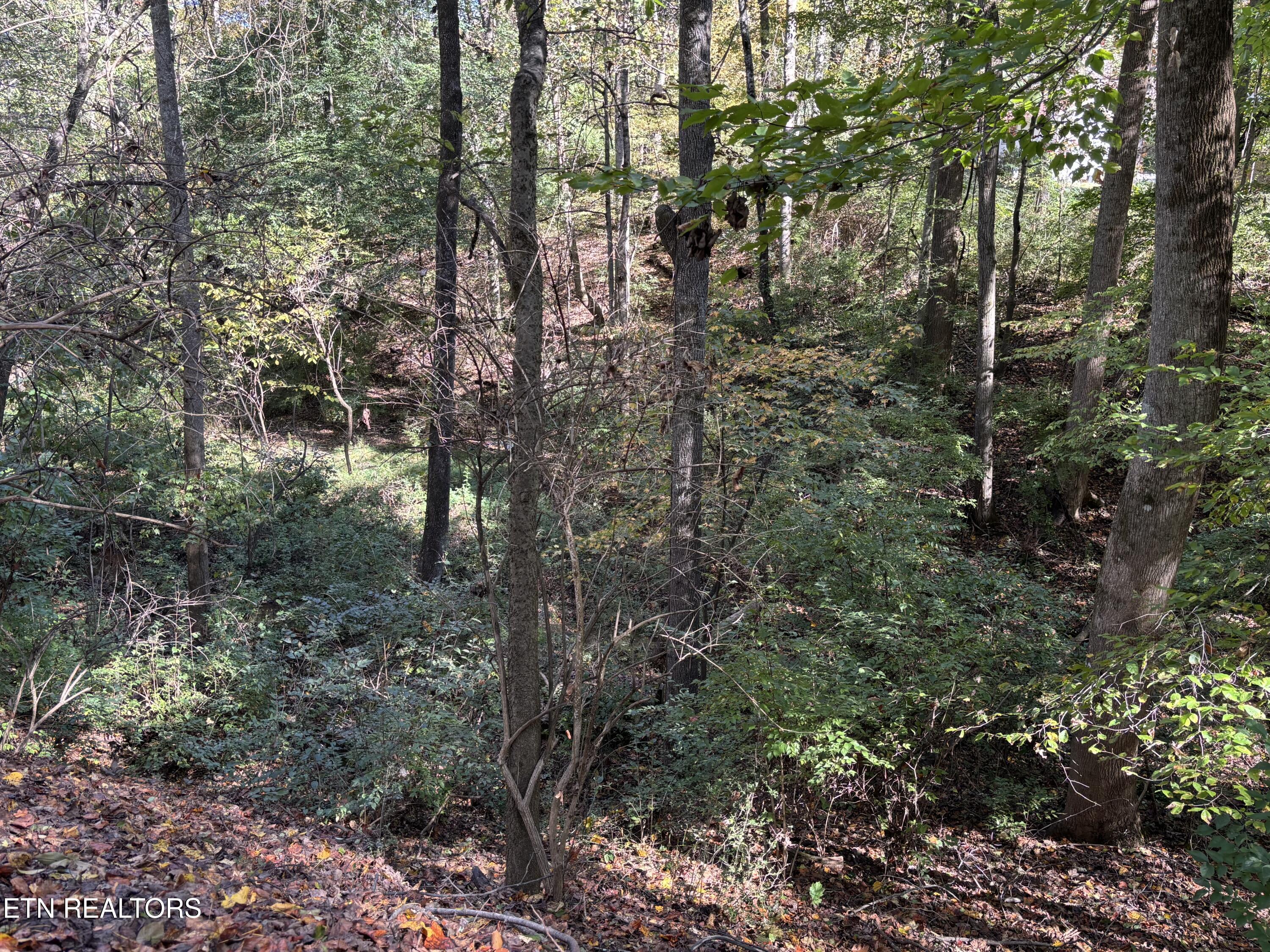 802 Hinkle Road Seymour, TN 37865 - Photo 55 of 60 IMG_4022