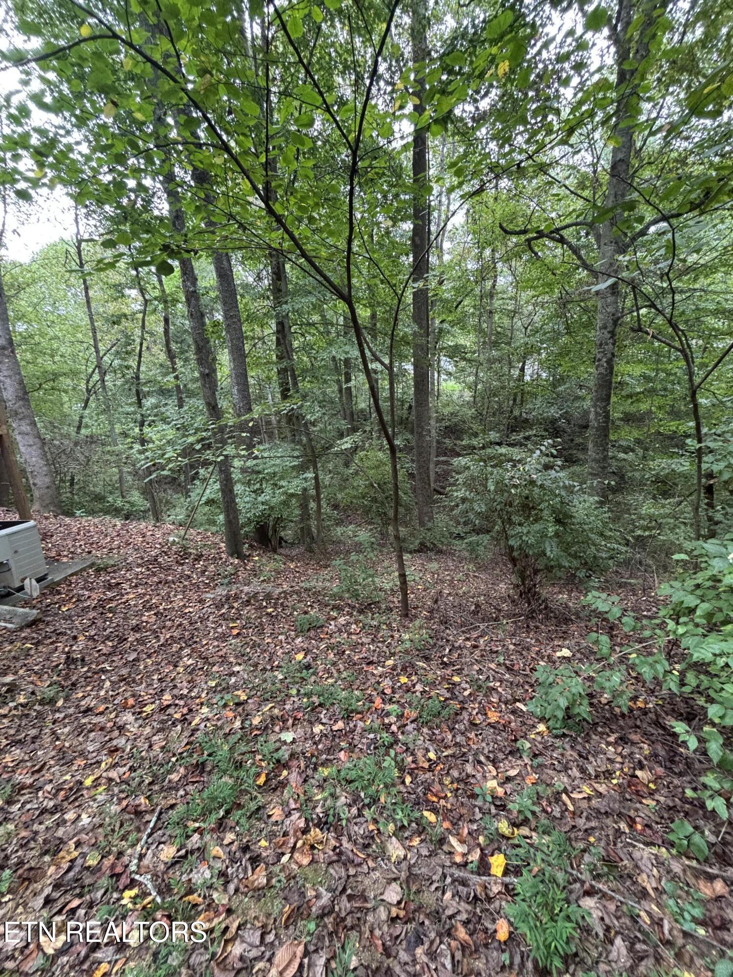 802 Hinkle Road Seymour, TN 37865 - Photo 57 of 60 IMG_6541