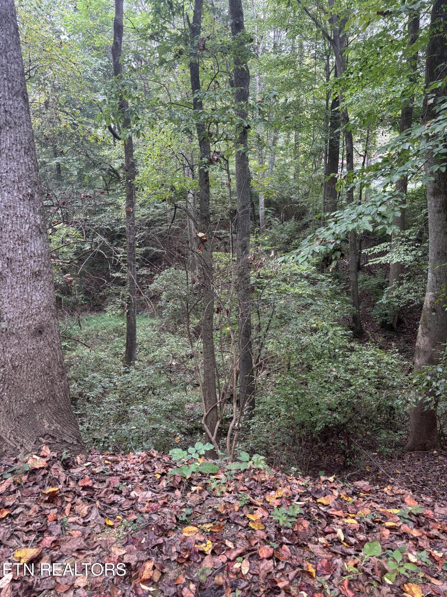 802 Hinkle Road Seymour, TN 37865 - Photo 60 of 60 IMG_6546