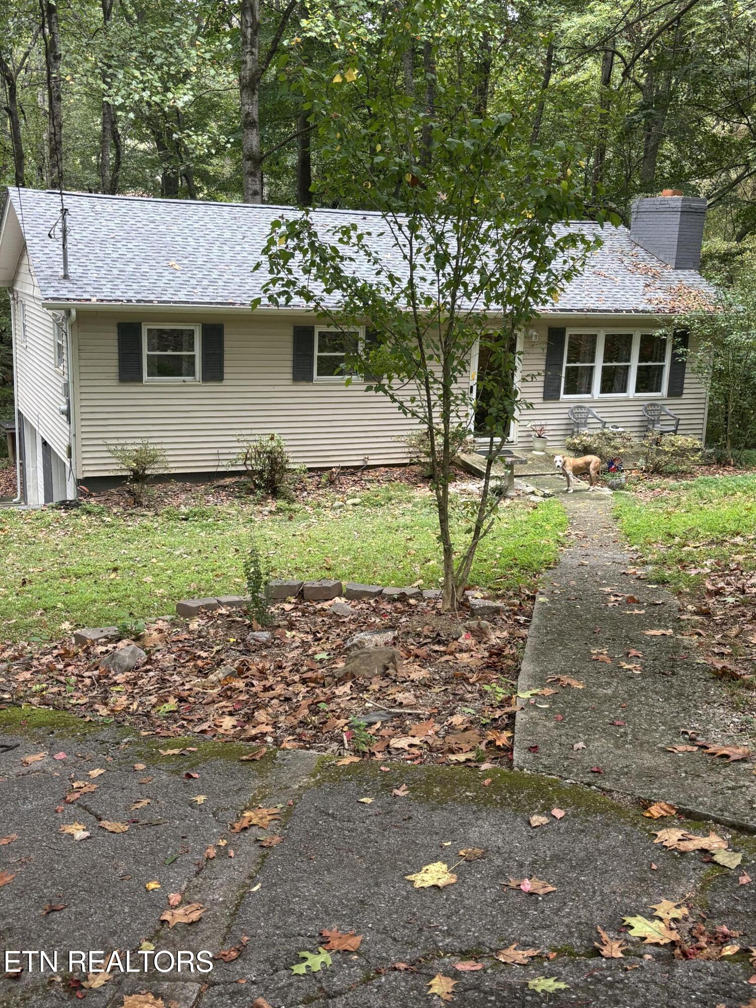 802 Hinkle Road Seymour, TN 37865 - Photo 6 of 60 IMG_6578