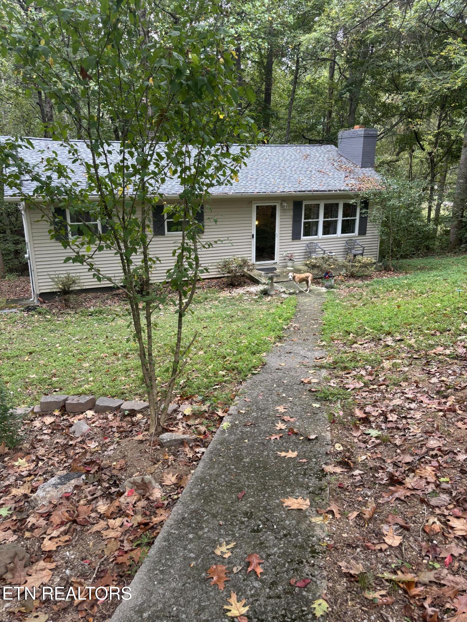 802 Hinkle Road Seymour, TN 37865 - Photo 8 of 60 IMG_6573