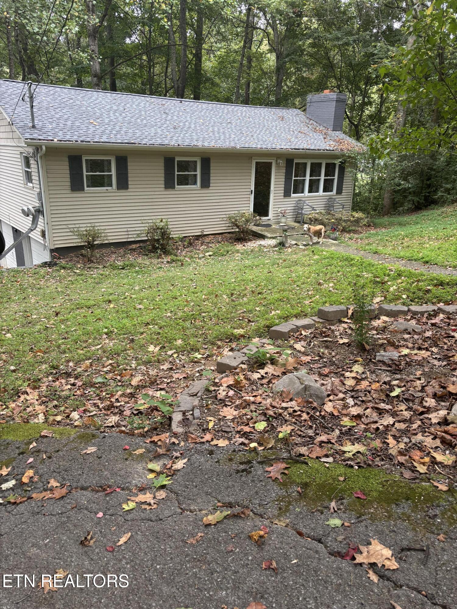 802 Hinkle Road Seymour, TN 37865 - Photo 10 of 60 IMG_6570
