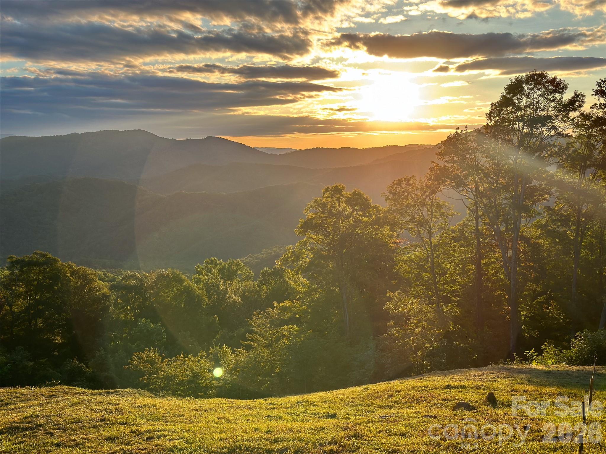 Tbd Nicholas Knoll Road Bakersville, NC 28705 - Photo 10 of 28 Gallery Image 10