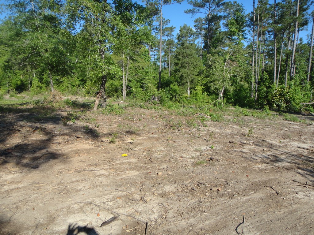 0 Otho Road Abbeville, AL 36310 - Photo 5 of 11