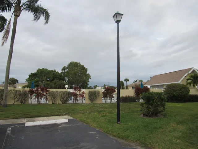 a view of a park with palm trees