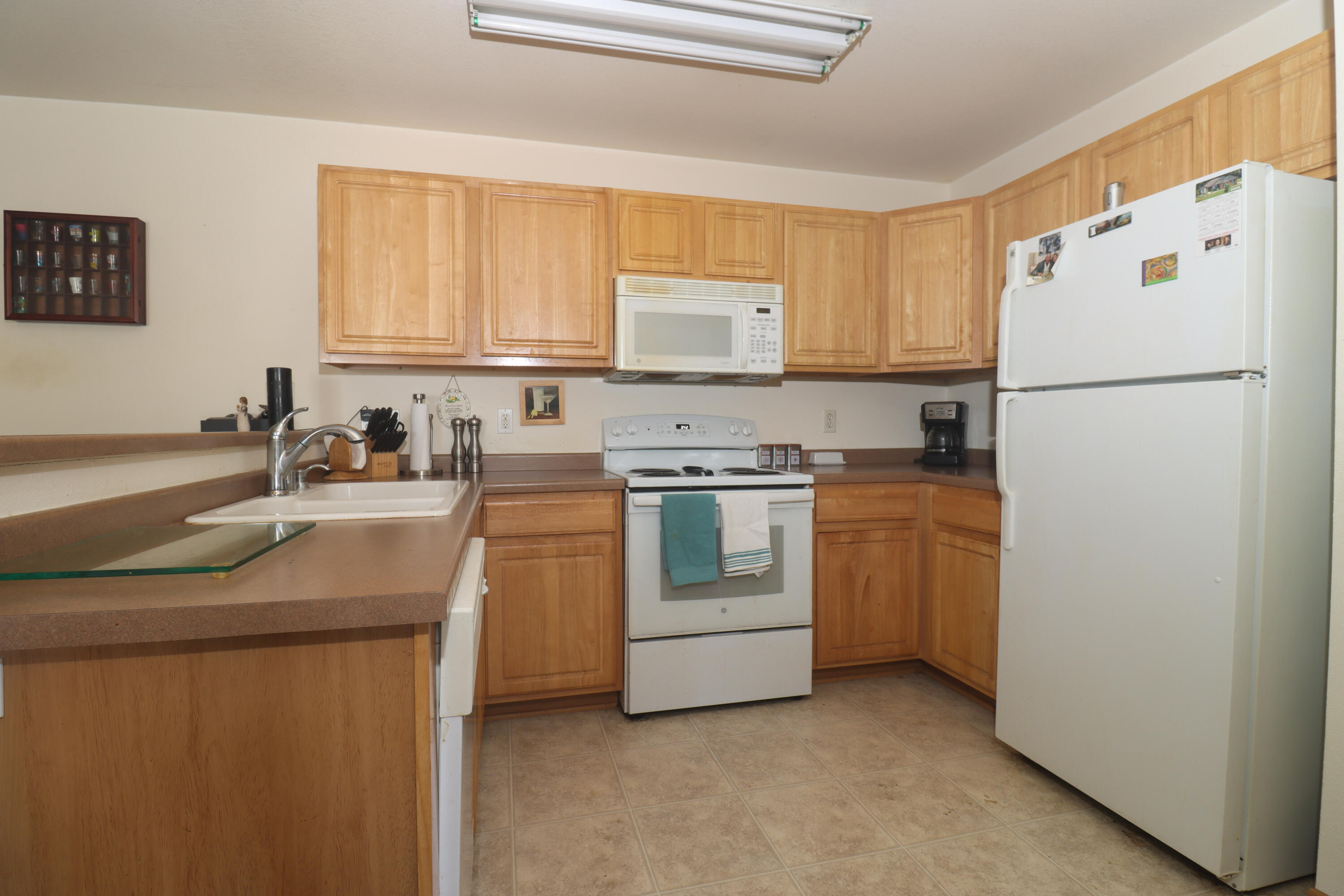 210 East Remer Road, Unit 203 Elkhorn, WI 53121 - Photo 5 of 16 210 East Remer Rd