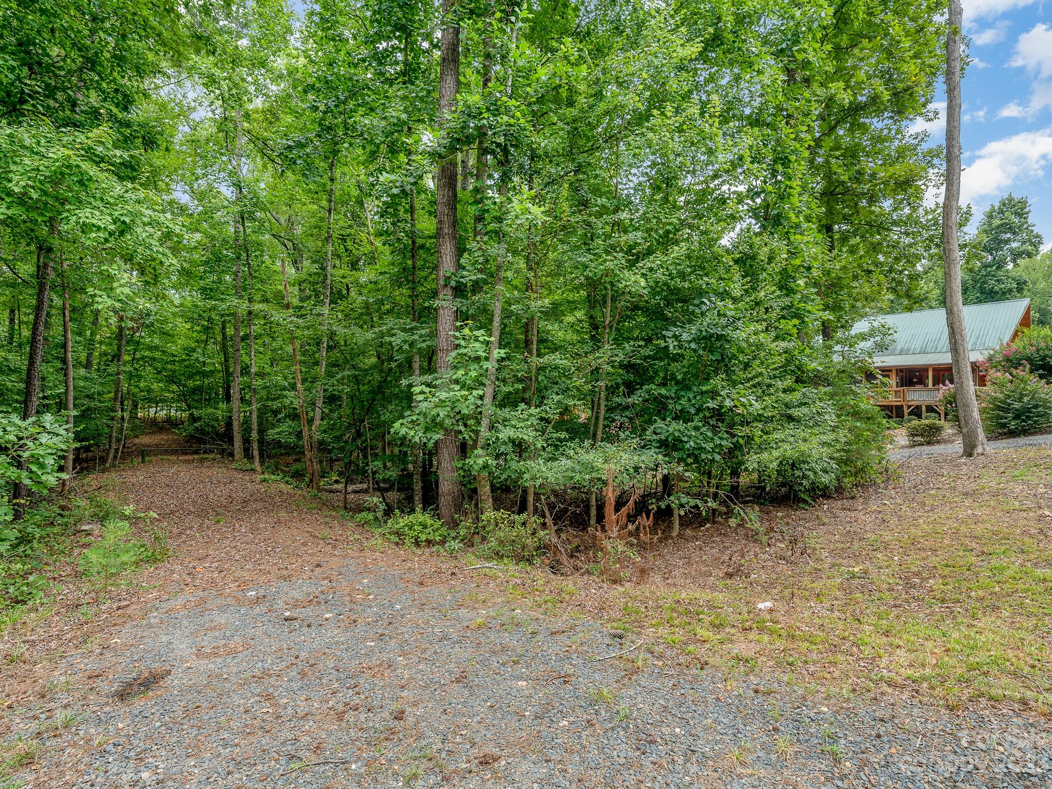 528 Manchester Road Mount Gilead, NC 27306 - Photo 29 of 34 a view of a forest with trees in front of it