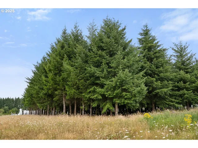 a view of outdoor space and yard