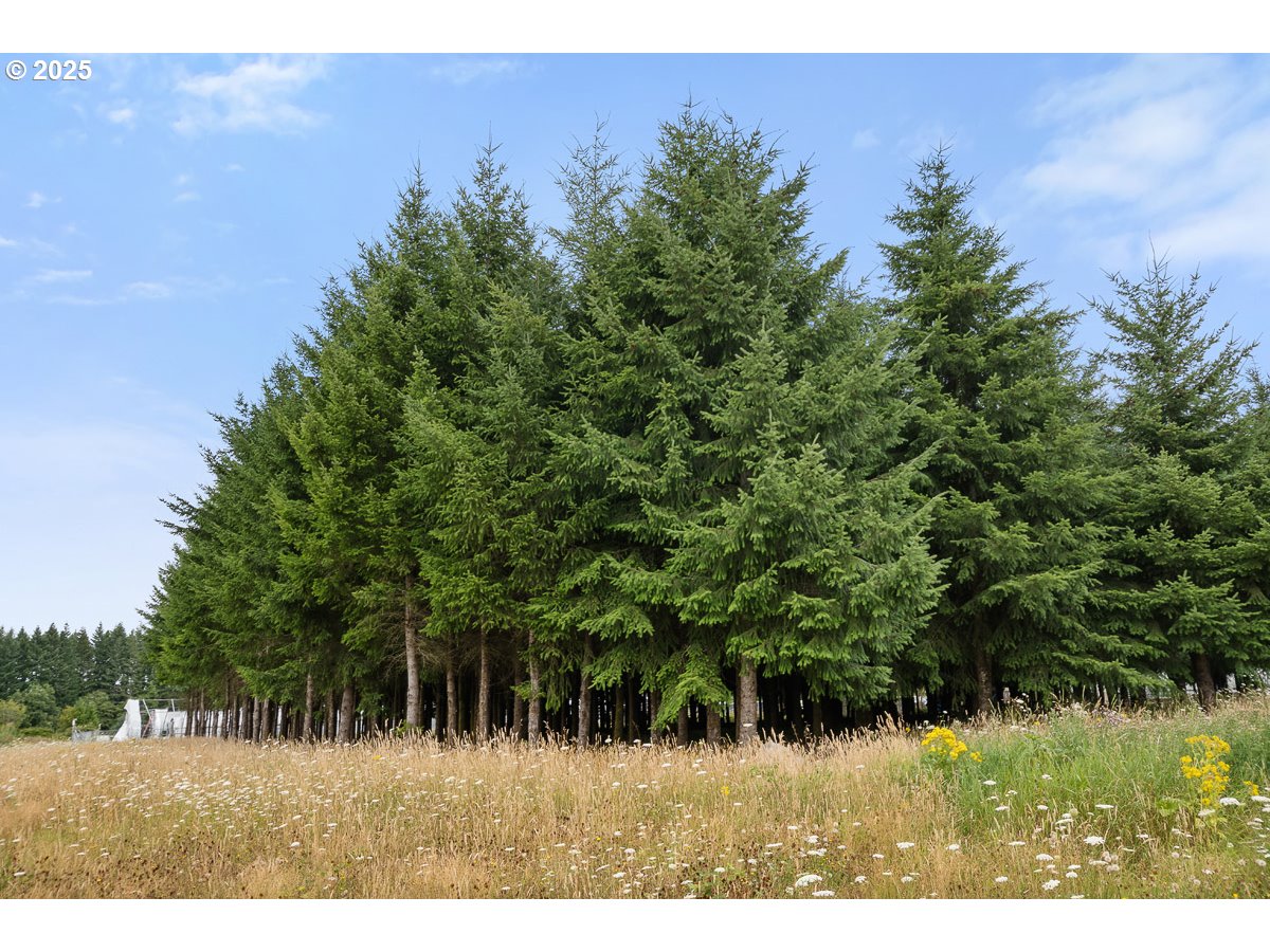 40801-40809 Southeast Trubel Road Sandy, OR 97055 - Photo 12 of 34 a view of a yard