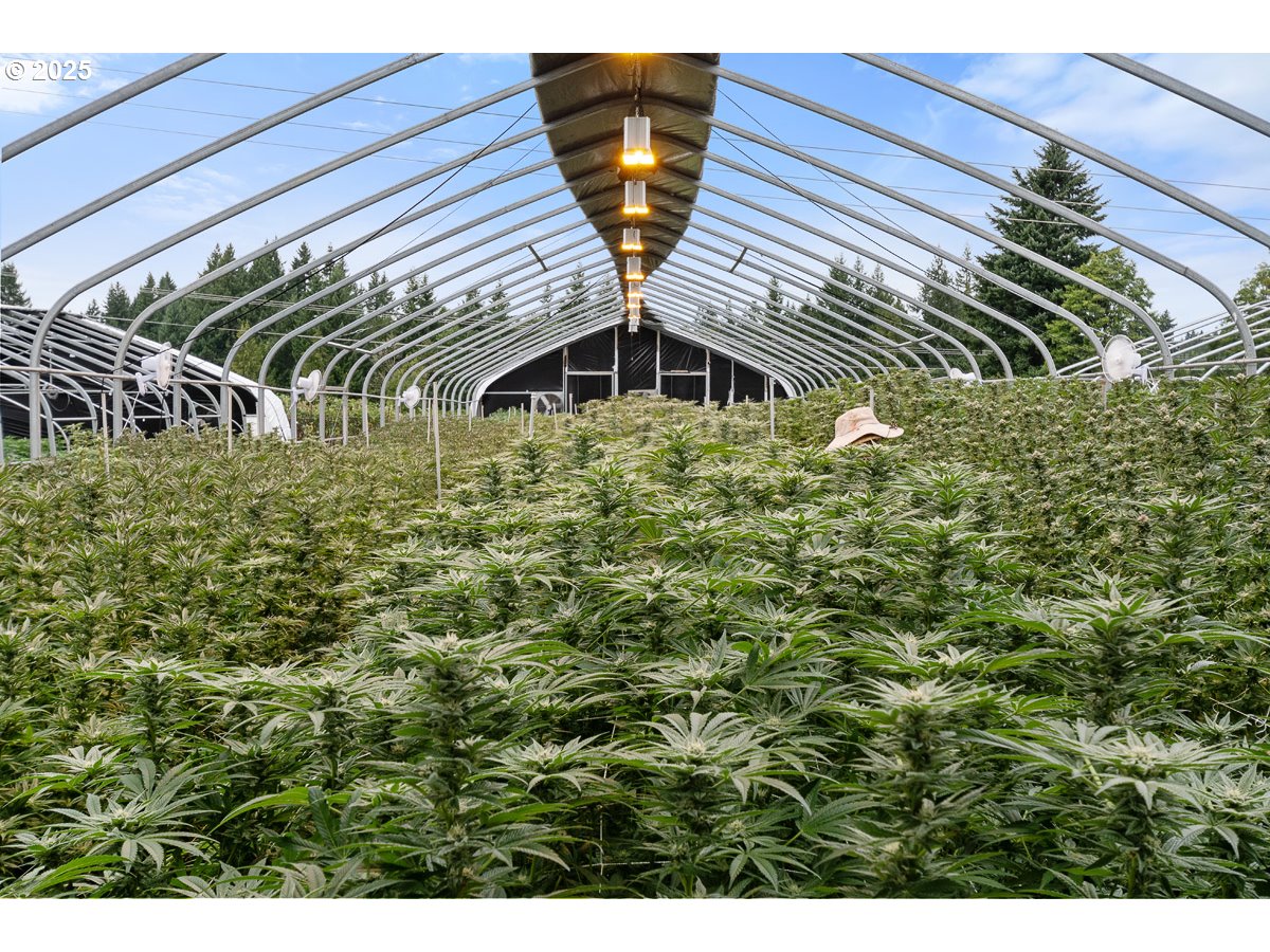 40801-40809 Southeast Trubel Road Sandy, OR 97055 - Photo 17 of 34 a view of a back yard