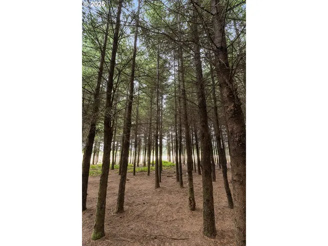 a view of front door and yard