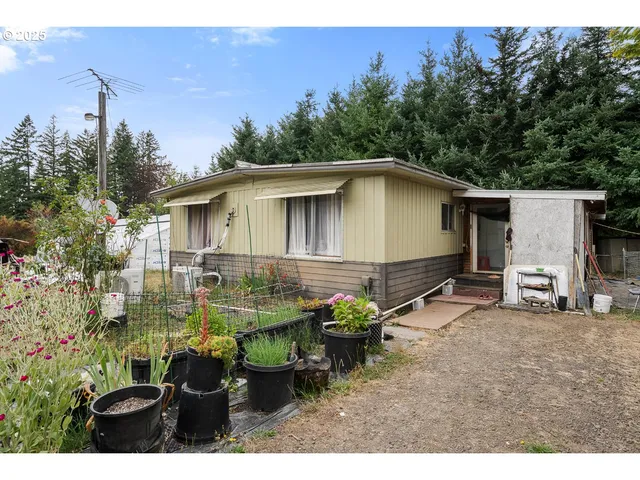a view of a yard with plants and wooden fence