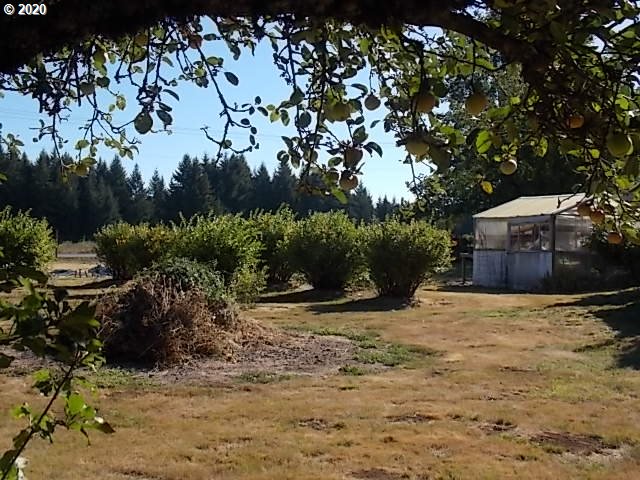 24081 South Springwater Road Estacada, OR 97023 - Photo 21 of 22 Gallery Image 21