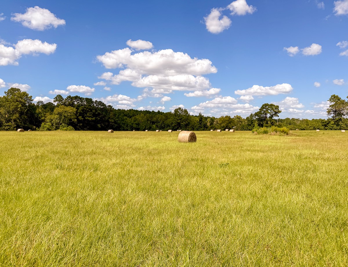 567 Tamie Lowe Road Moscow, TX 75960 - Photo 44 of 50 Gallery Image 44