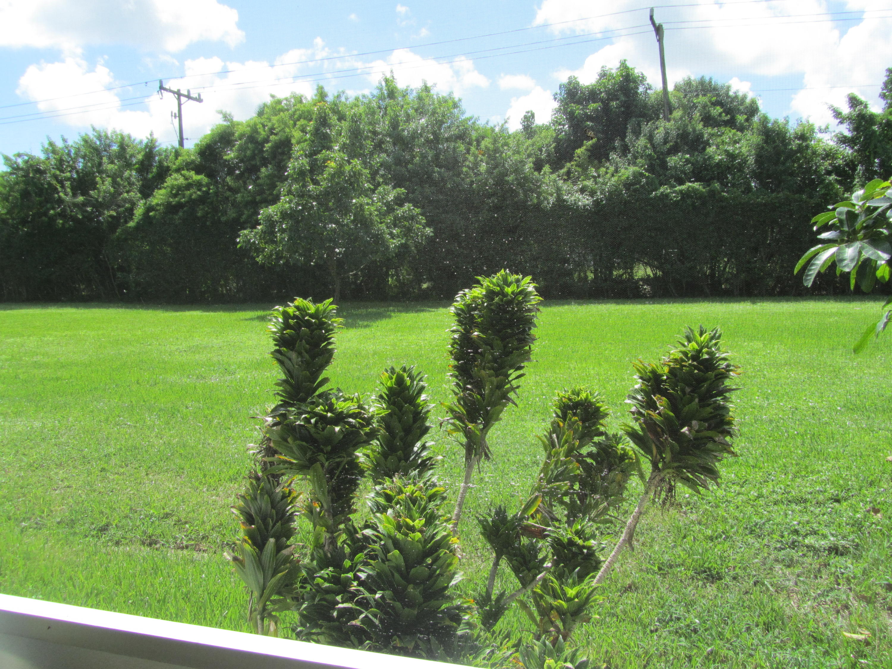 5368 Privet Place, Unit B Delray Beach, FL 33484 - Photo 11 of 15 a view of a lake with a yard