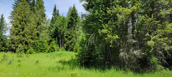 $240,000 | 150 Estate Drive, Troy, MT 59935