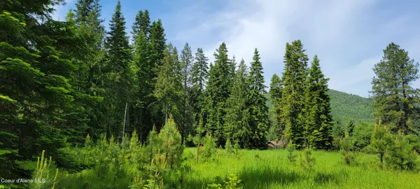 $240,000 | 150 Estate Drive, Troy, MT 59935