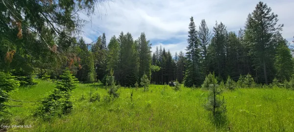 $240,000 | 150 Estate Drive, Troy, MT 59935