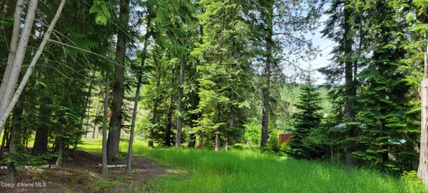 $240,000 | 150 Estate Drive, Troy, MT 59935