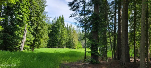 $240,000 | 150 Estate Drive, Troy, MT 59935