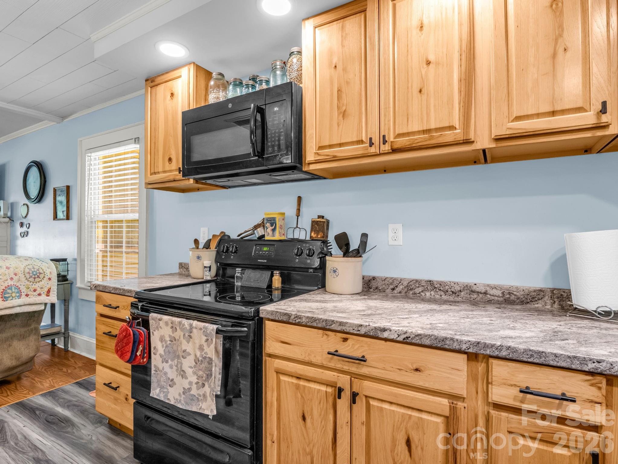 173 Maple Street Rutherfordton, NC 28139 - Photo 10 of 36