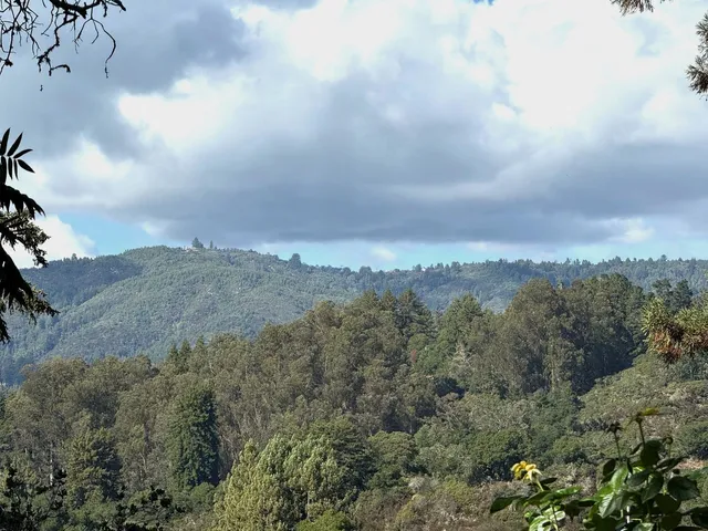 a view of a yard with mountain and mountains