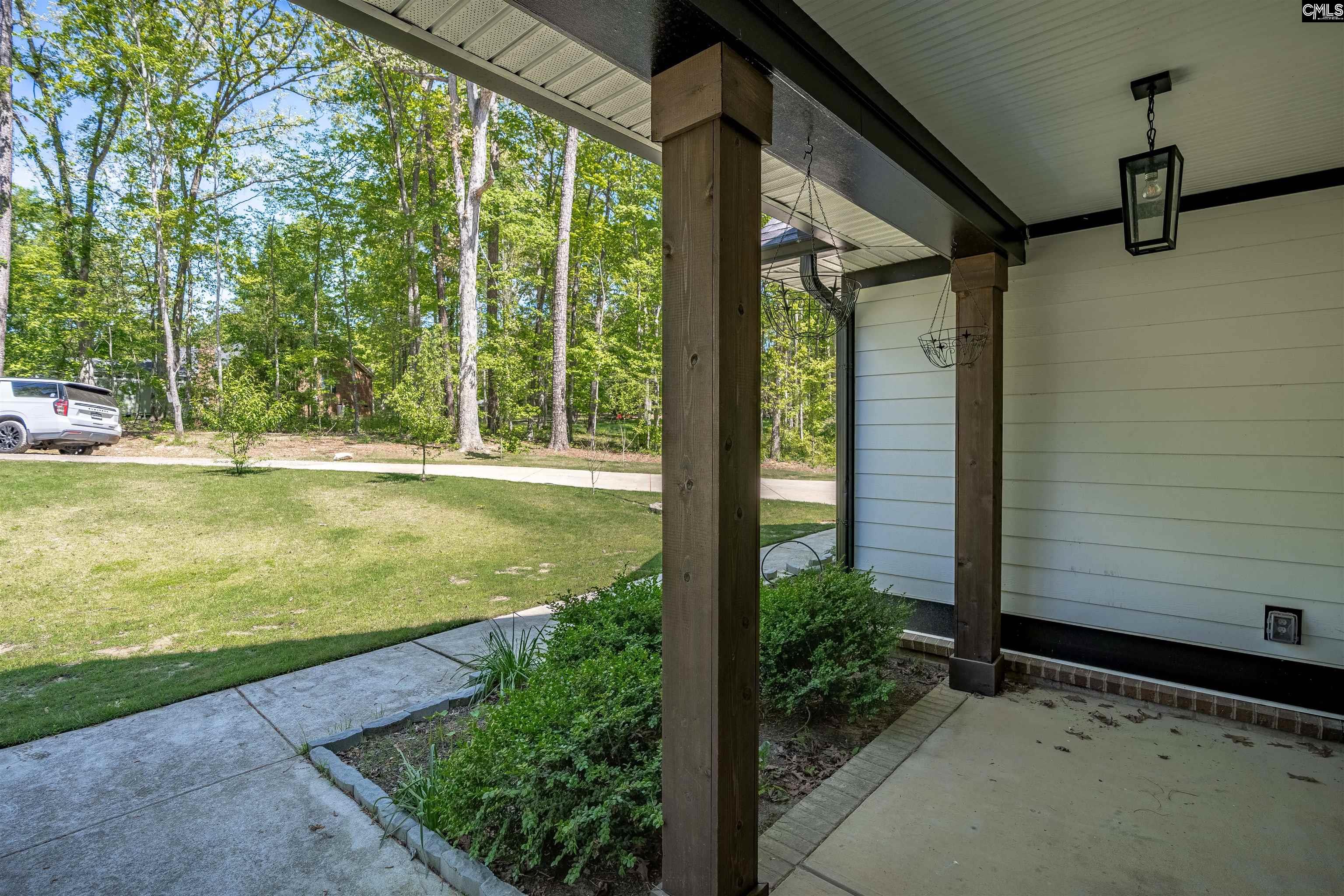 437 Amicks Ferry Road Chapin, SC 29036 - Photo 3 of 45