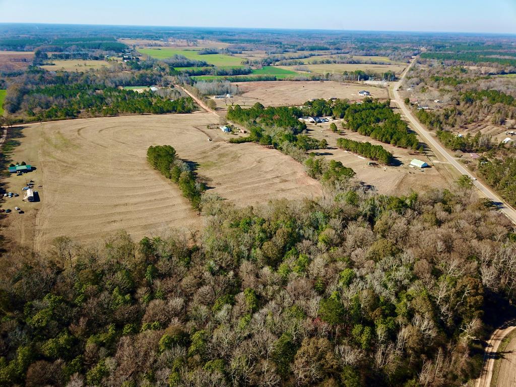 24.6-acres Grant Road Slocomb, AL 36375 - Photo 16 of 17