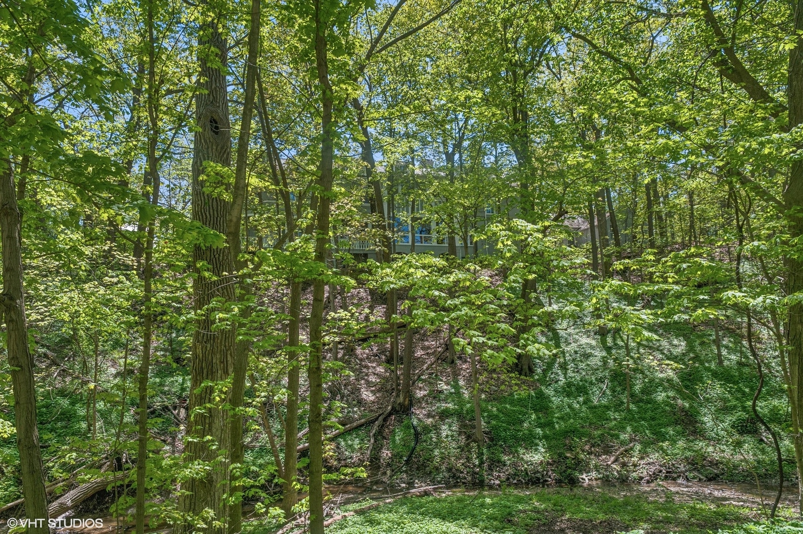 855 Sheridan Road Highland Park, IL 60035 - Photo 56 of 62 a view of a lush green forest
