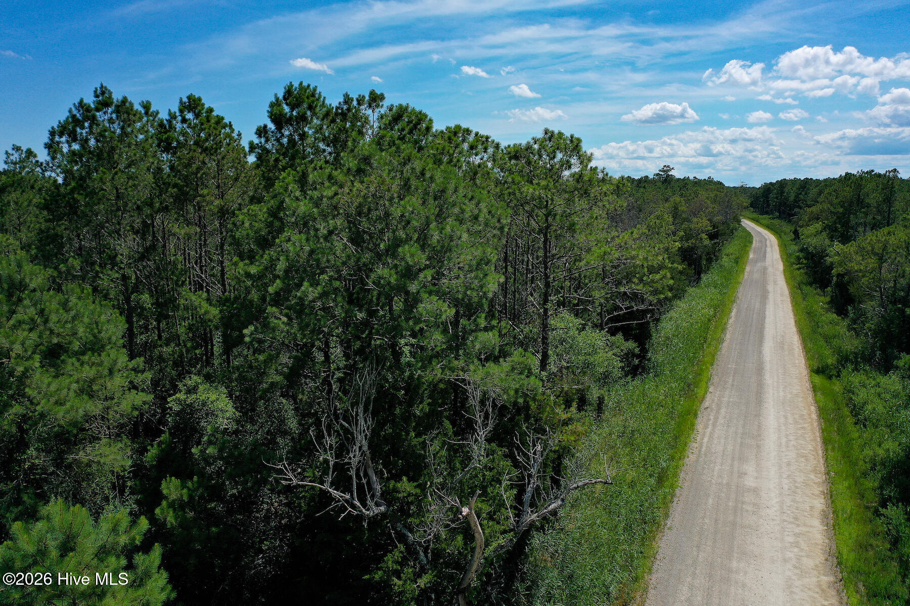 4.57-acres Meekins Road Bayboro, NC 28515 - Photo 2 of 17