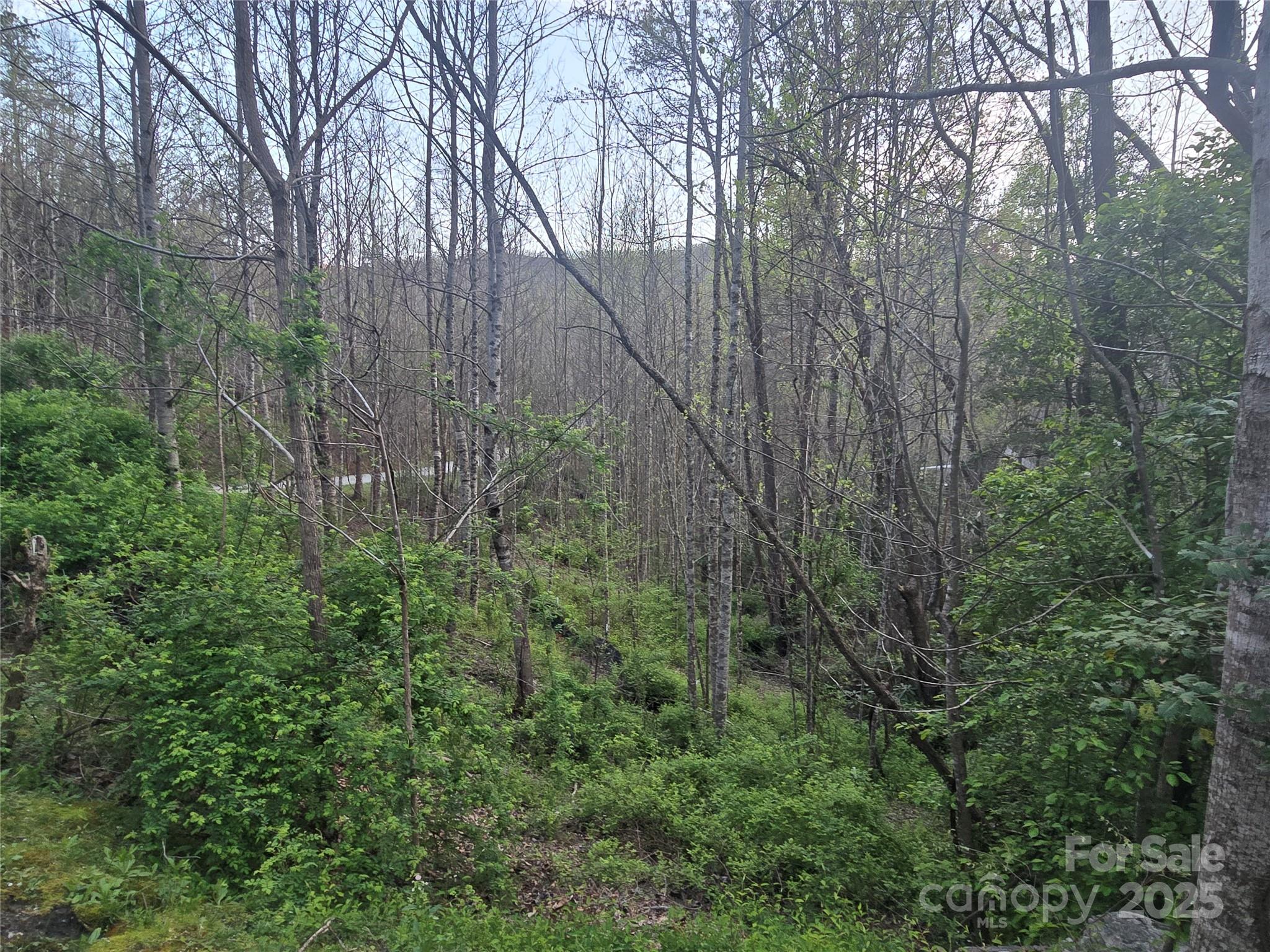 1 Running Water Circle, Unit 1 Sylva, NC 28779 - Photo 2 of 4 a view of a yard