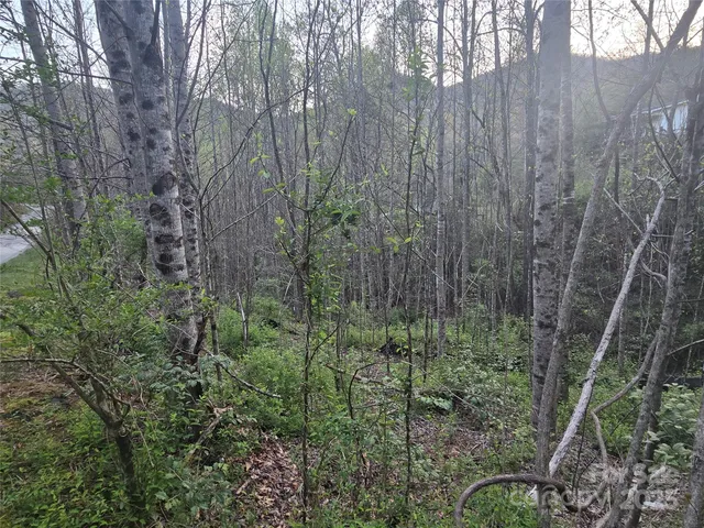 a view of backyard with green space