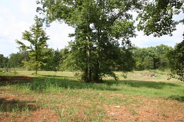 2030 Gentle Road Lewisburg, TN 37091 - Photo 16 of 20 5.85 acres . House sits on left corner of property. Lots of privacy and located on dead-end road.