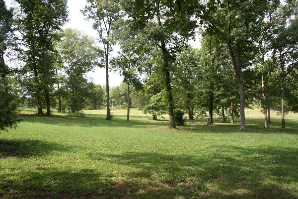 2030 Gentle Road Lewisburg, TN 37091 - Photo 19 of 20 View of yard and extra land. Plenty of room for shop or to have animals.