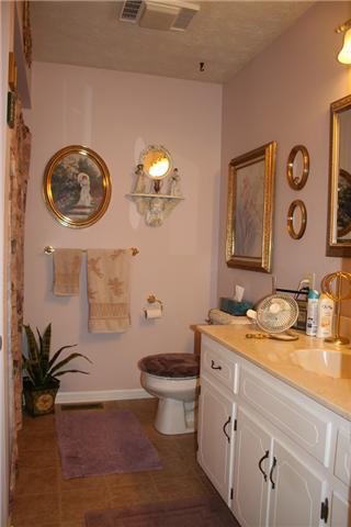 2030 Gentle Road Lewisburg, TN 37091 - Photo 6 of 20 1 of 2 full baths down. Vinyl floors, linen closet, large vanity with lots of counter space and storage, tub/shower combo.