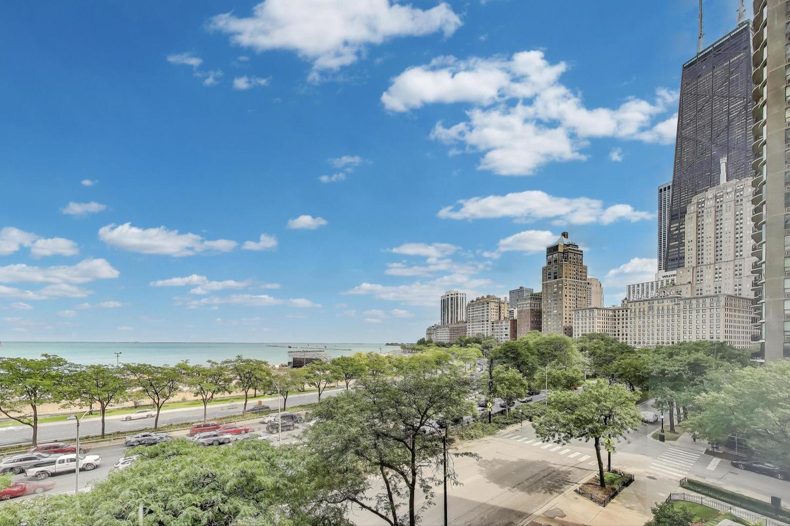 1110 North Lake Shore Drive, Unit 3N Chicago, IL 60611 - Photo 19 of 45