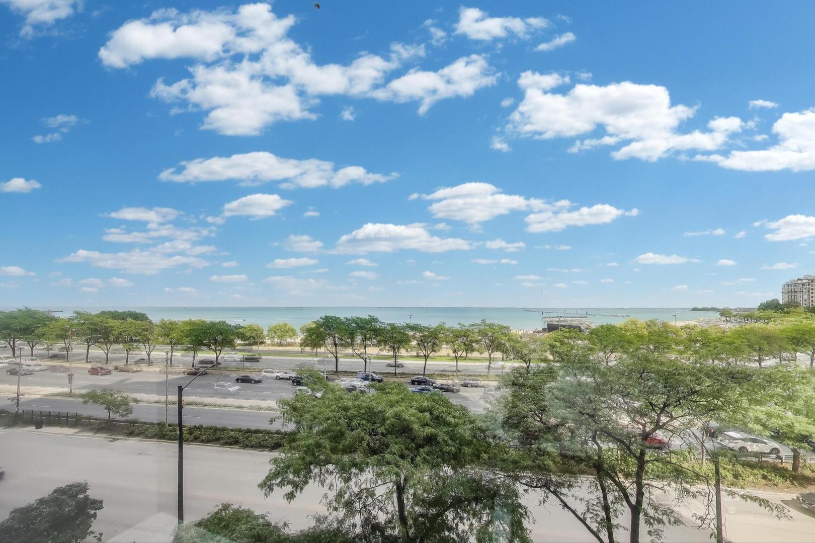 1110 North Lake Shore Drive, Unit 3N Chicago, IL 60611 - Photo 20 of 45