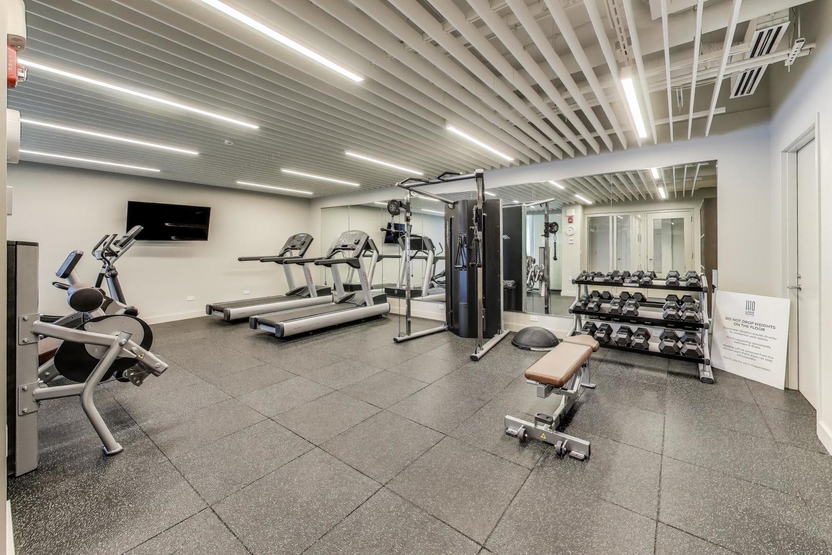 1110 North Lake Shore Drive, Unit 3N Chicago, IL 60611 - Photo 34 of 45