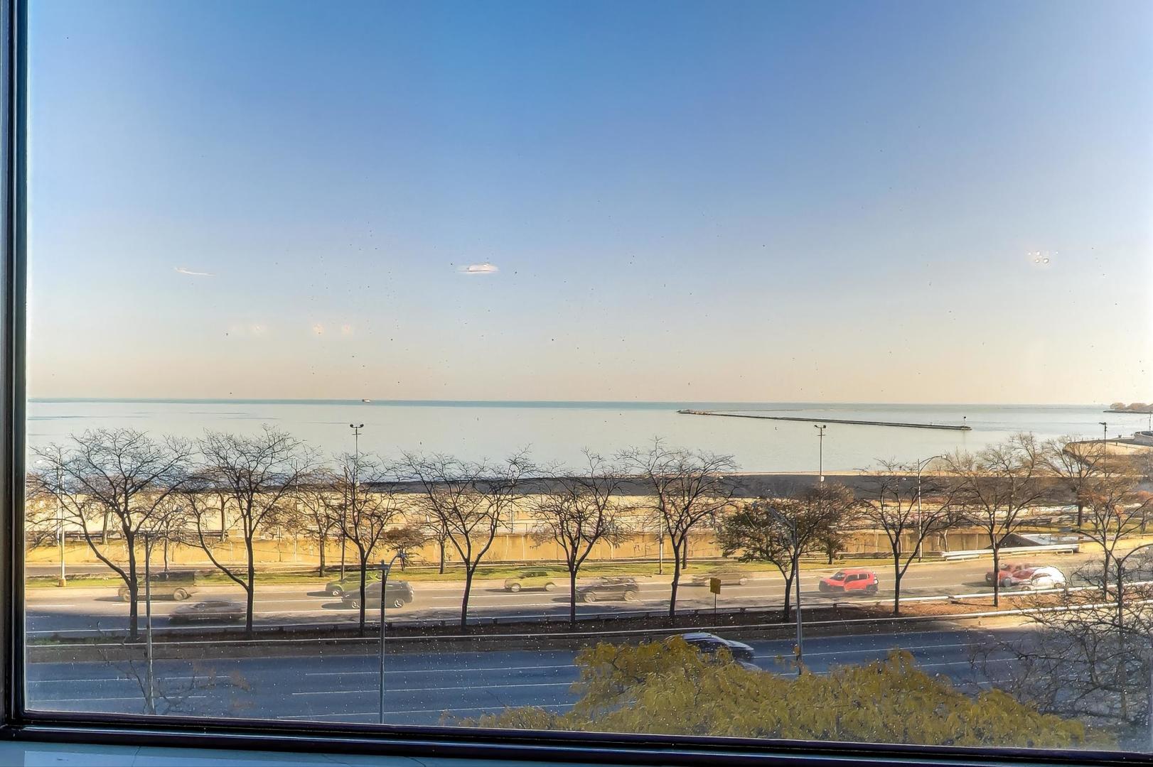 1110 North Lake Shore Drive, Unit 3N Chicago, IL 60611 - Photo 6 of 45