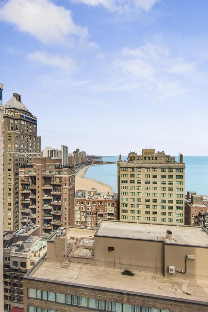 Undisclosed Address Chicago, IL 60611 - Photo 23 of 50 a view of a city with tall buildings