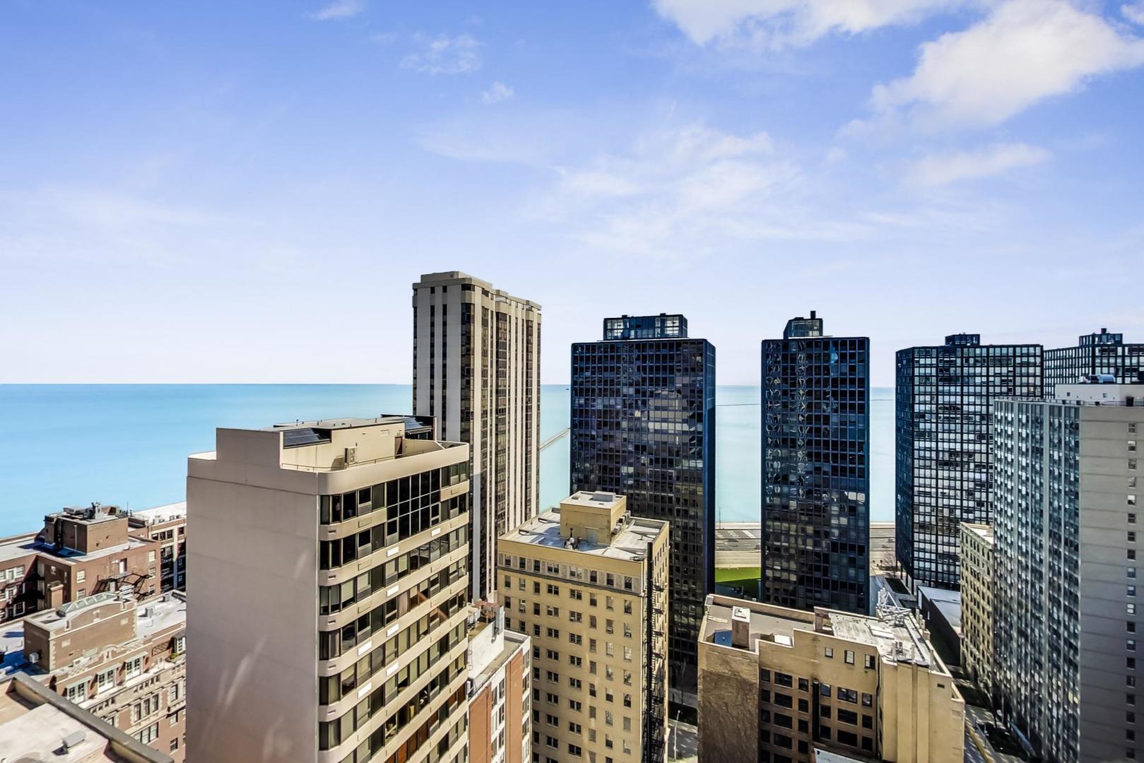 Undisclosed Address Chicago, IL 60611 - Photo 40 of 50 a city view with tall buildings