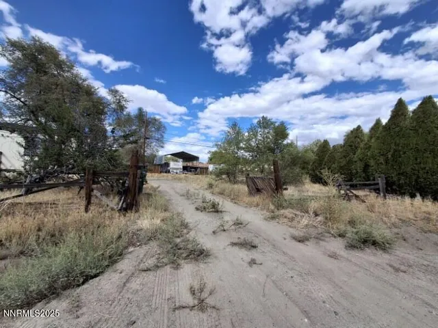 a view of a dry yard with trees